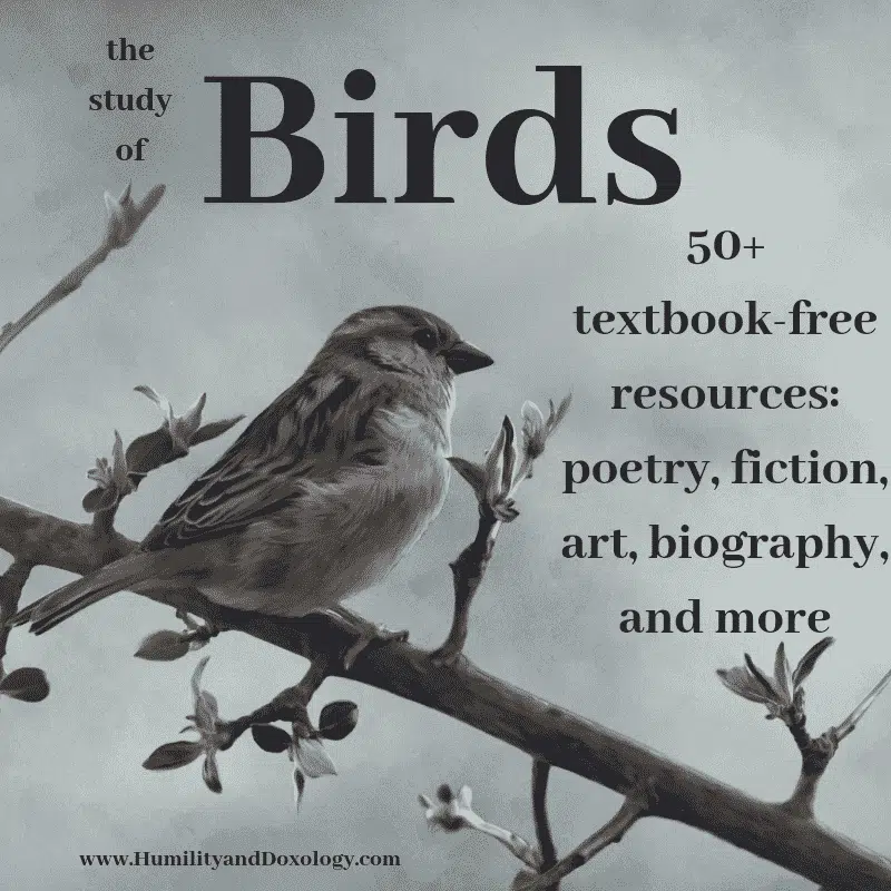 Birds Unit Study