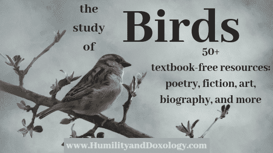 Homeschool Bird Study