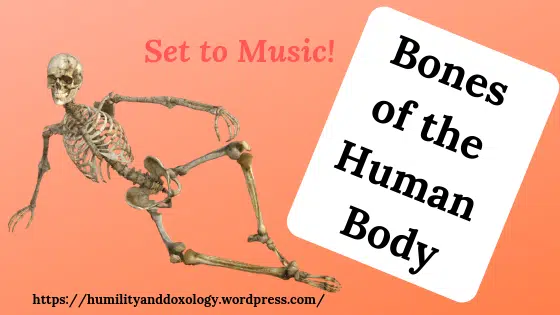 Bones of the Human Body Song, homeschool science