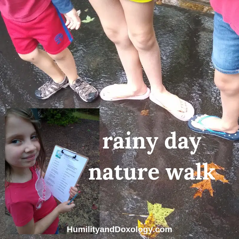 rainy day nature walk