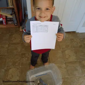 hands-on science experiment at home for preschool and kindergarten