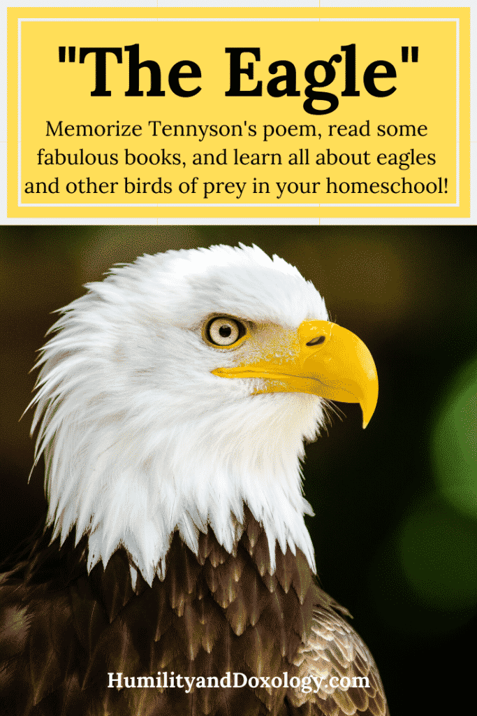 Eagle Unit Study Homeschool