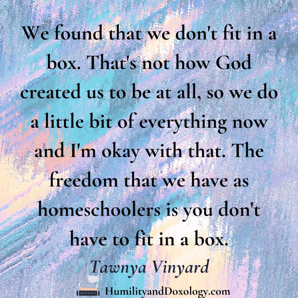 Tawnya Vinyard Happy Planned Homeschool podcast interview