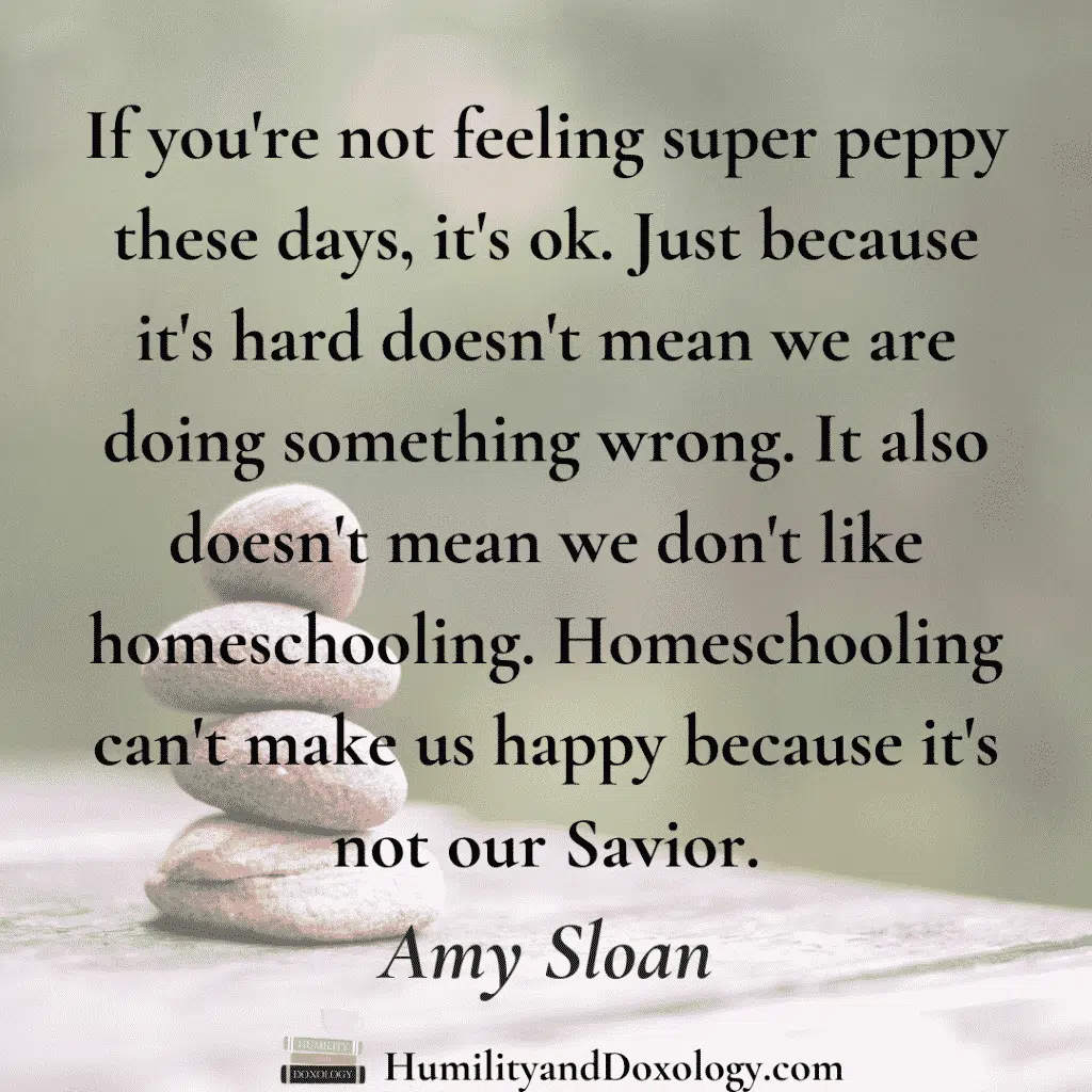 second generation homeschooling joyfully homeschooling amy sloan misty bailey