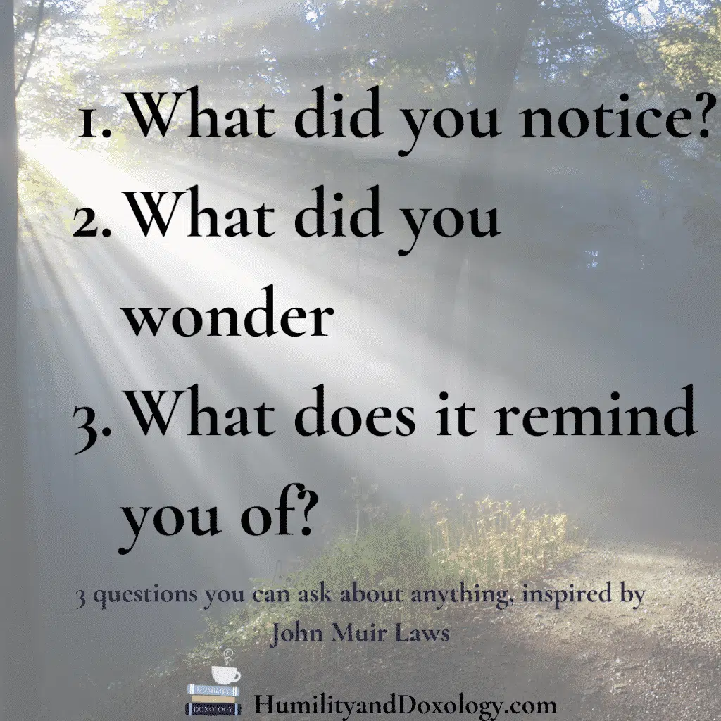 3 questions from John Muir Laws you can ask about anything