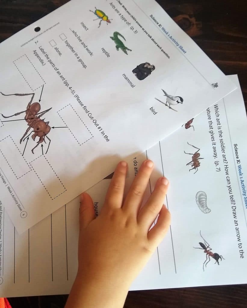 Sonlight Science K review Homeschool Curriculum Discover and Do Activity Sheets