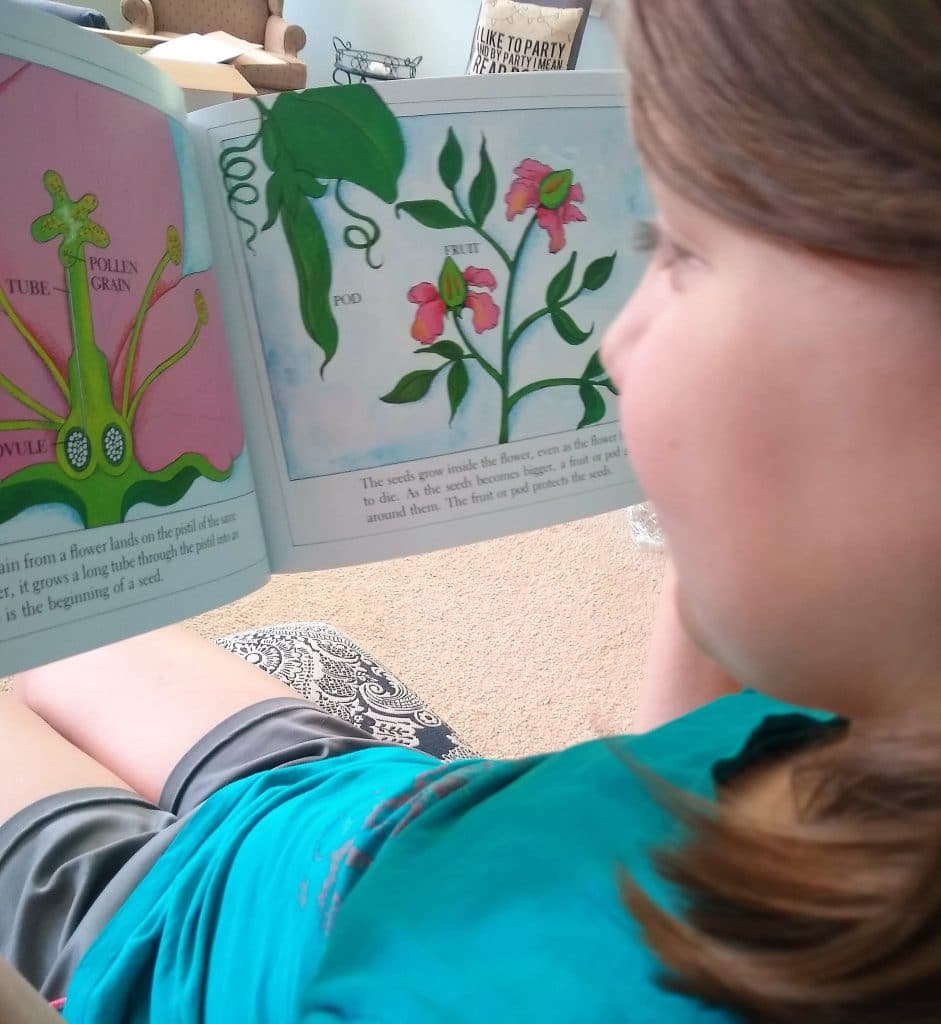 Sonlight Science K review Homeschool Curriculum Discover and Do Literature Based