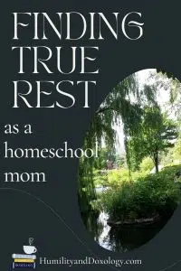 rest for weary homeschool mom identity