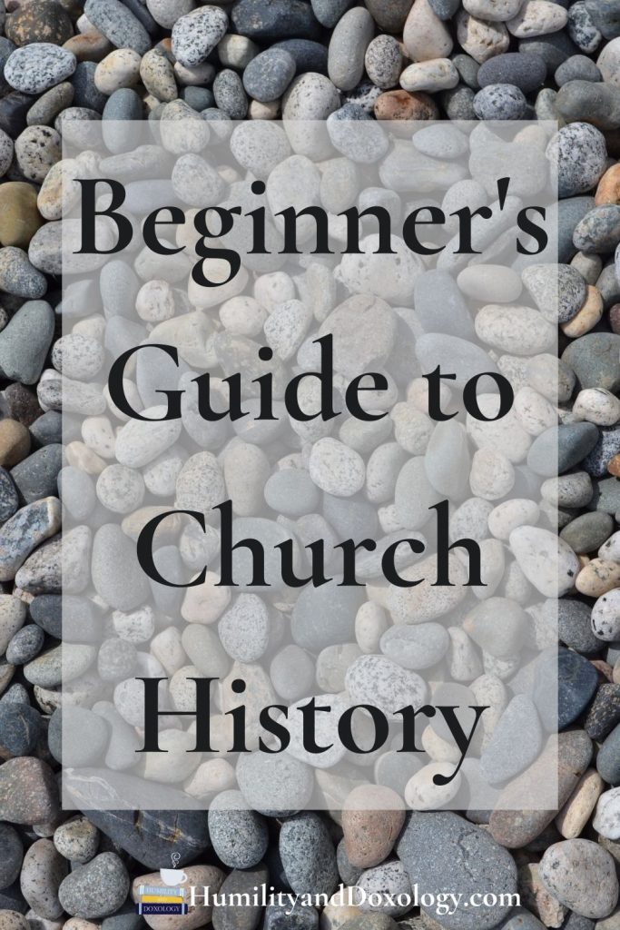 Beginner's Guide Church History picture books chapter books theology for kids and families