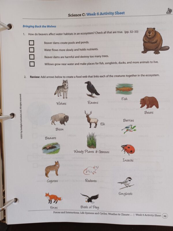 Sonlight Science C: Forces and Interactions, Life Systems and Cycles ...