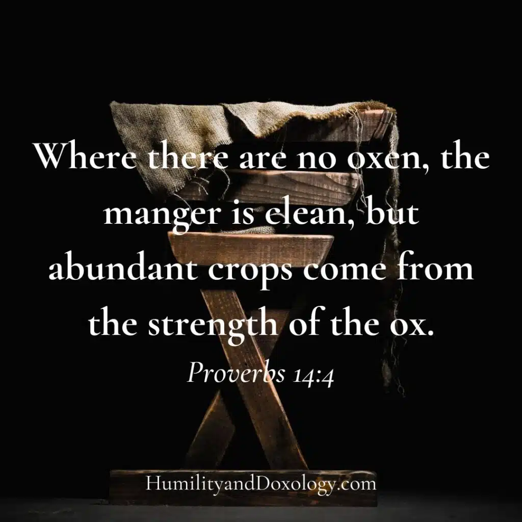 Where there are no oxen the manger is clean Messy Mangers Christian Homeschool Family encouragement by Mary Kathryn Cone on HumilityandDoxology.com