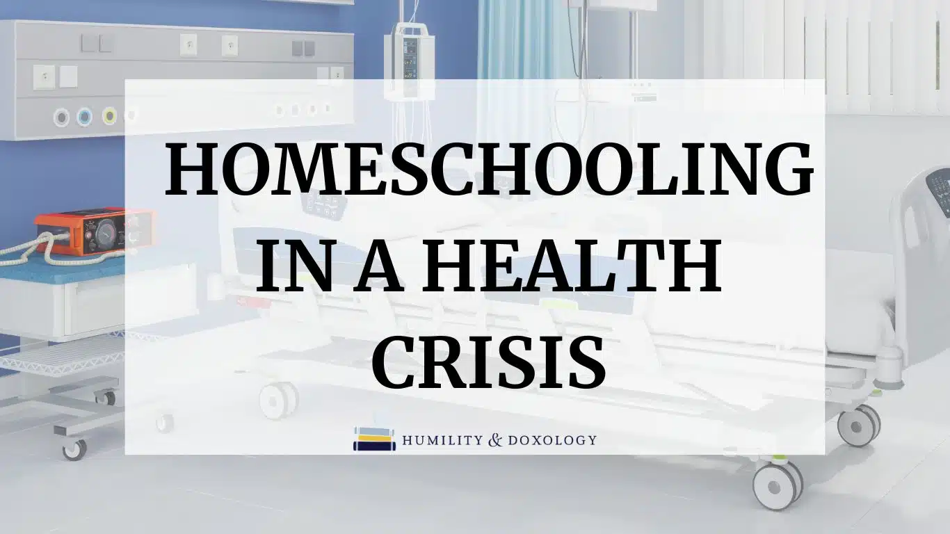homeschooling in a health crisis hospital hands on learning