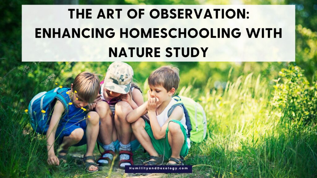 The Art of Observation Enhancing Homeschooling with Nature Study Cindy West Our Journey Westward