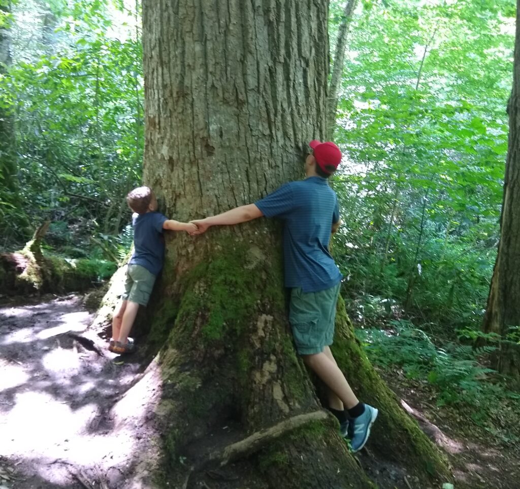 The Art of Observation Enhancing Homeschooling with Nature Study