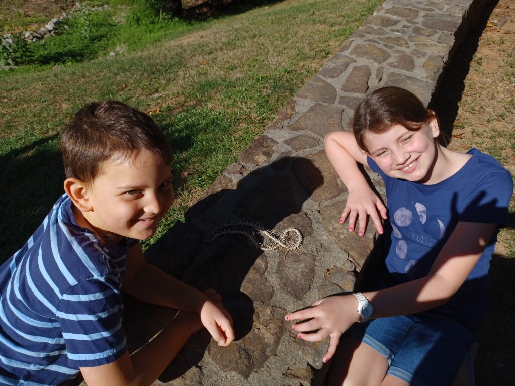 The Art of Observation Enhancing Homeschooling with Nature Study snake skeleton