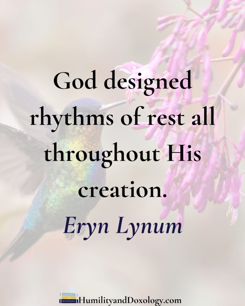 creation rhythms Homeschool Conversations finding rest in a restless world Eryn Lynum