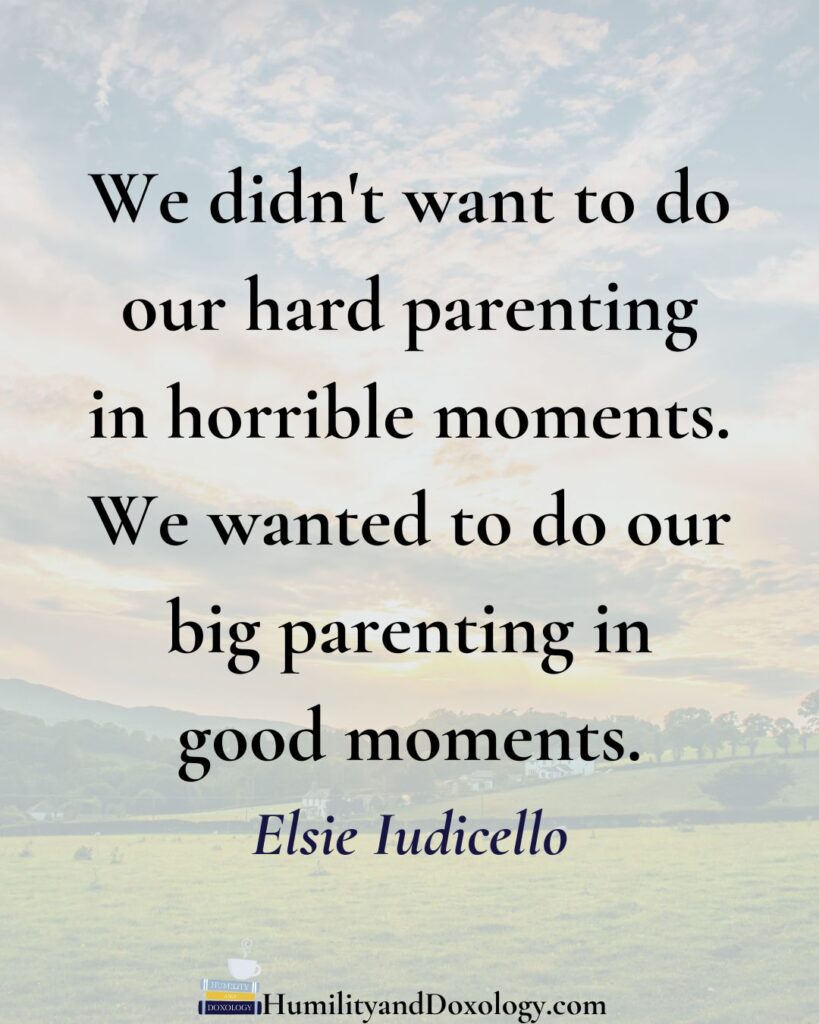 Homeschooling Teens with Grace and Wisdom with Elsie Iudicello