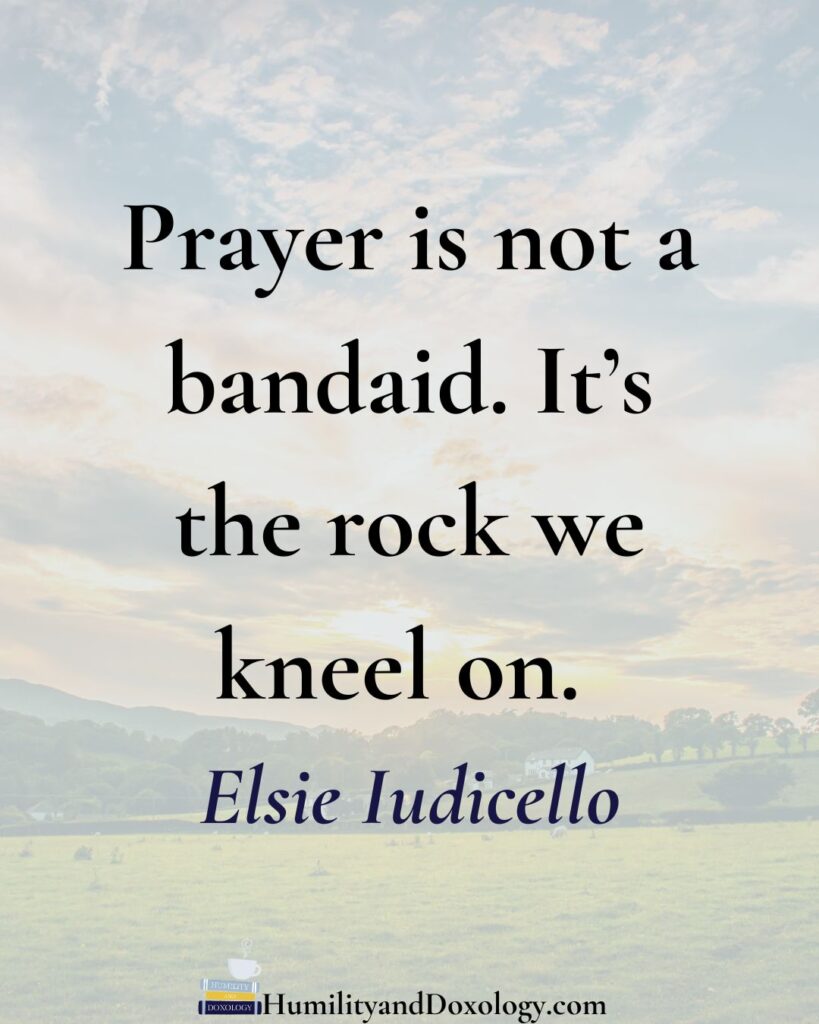 Homeschooling Teens with Grace and Wisdom with Elsie Iudicello