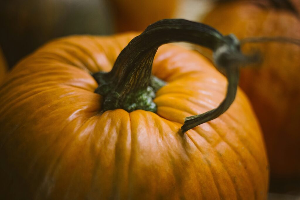 pumpkin homeschool activities and free poetry printables