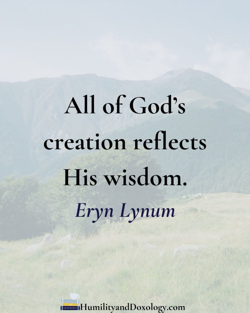 Wisdom and Wonder Teaching Every Subject Through Nature Study with Eryn Lynum